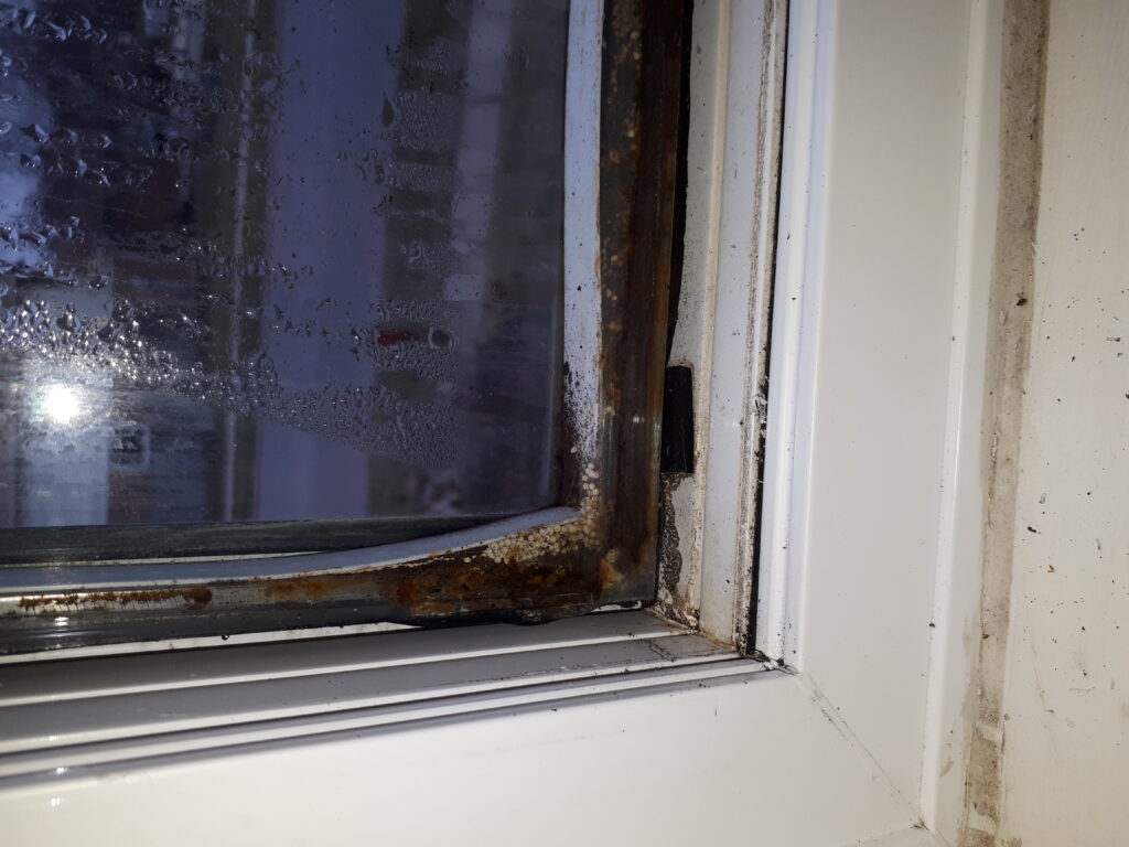 repair your broken windows